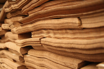 Our raw material: wood - 